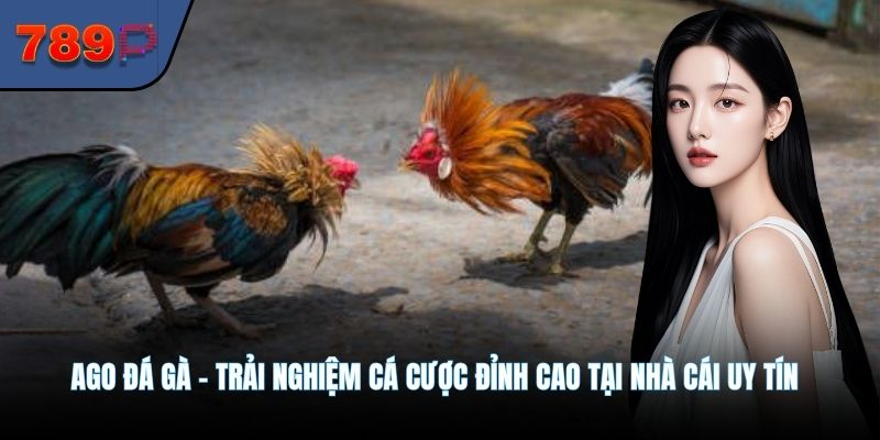 AGO Đá Gà - Trải Nghiệm Cá Cược Đỉnh Cao Tại Nhà Cái Uy Tín